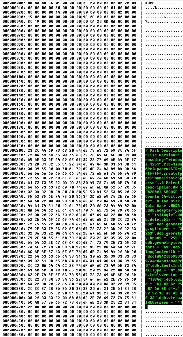 VMDK with descriptor block highlighted