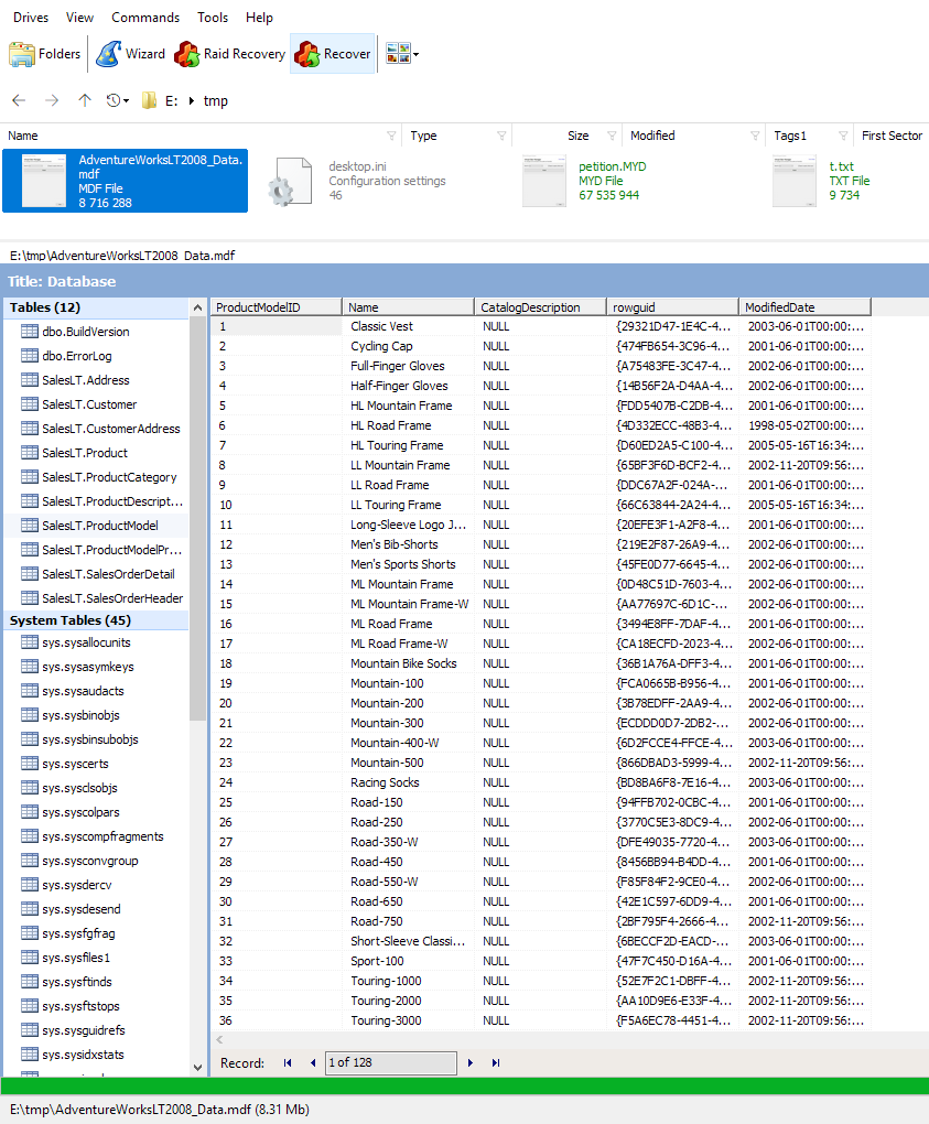 Preview of Bitlocker encrypted database