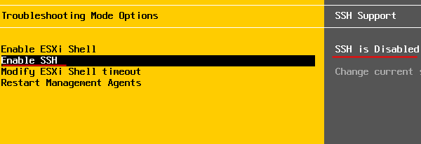 VMware SSH Options